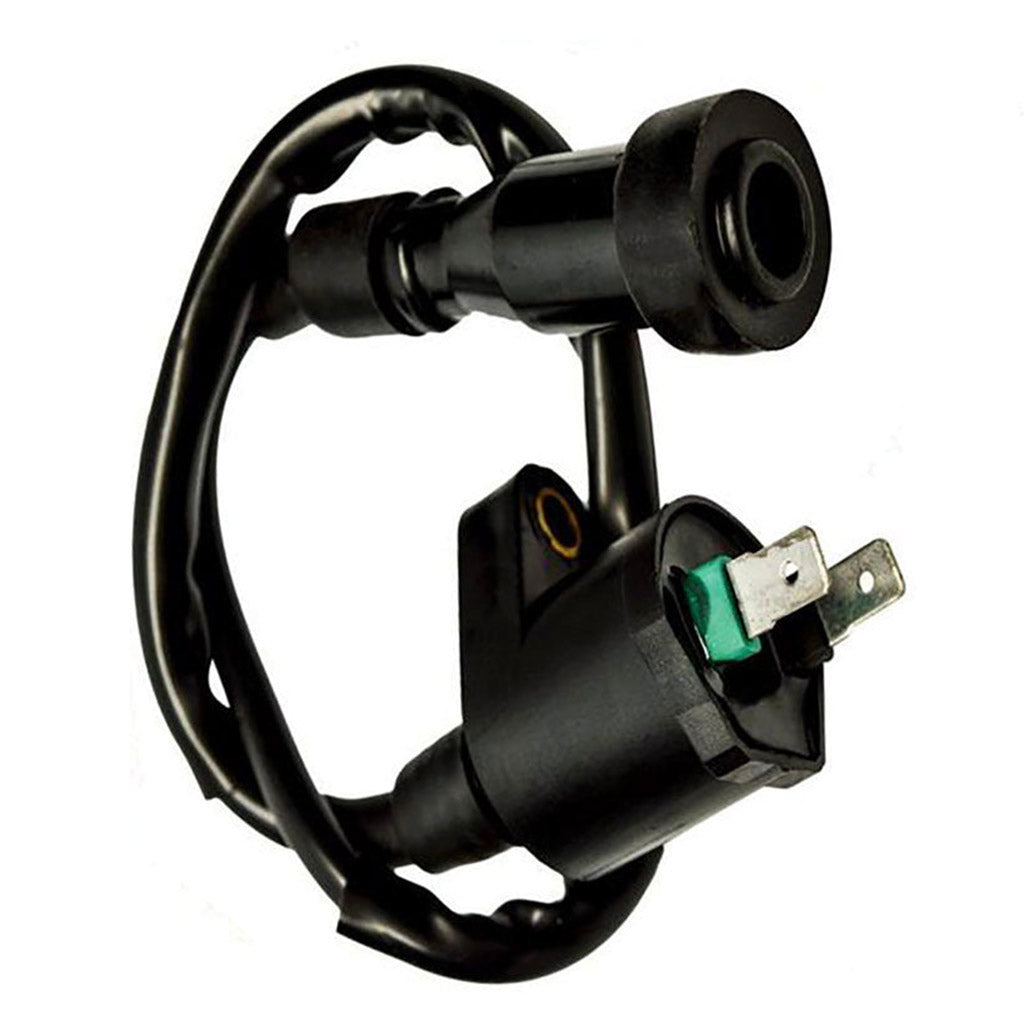 Estator Magnético De 8 Bobinas Para Scooter GY6 50cc 125cc 150cc ATV, Moped, Go Kart - Marca Genérica