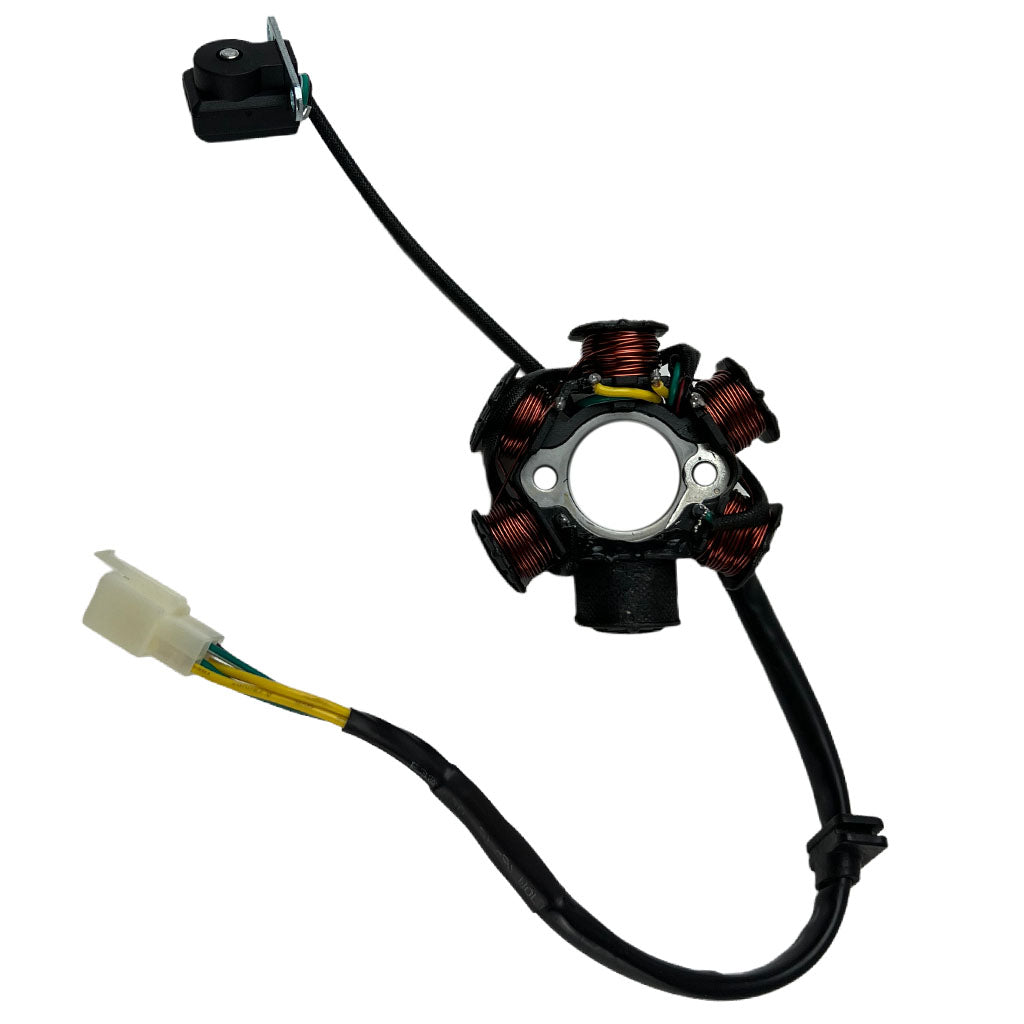 Stator Magneto - 6 Coil -60cc - Zongshen ZL60 - Kayo KMB60 Dirt Bike - VMC Chinese Parts
