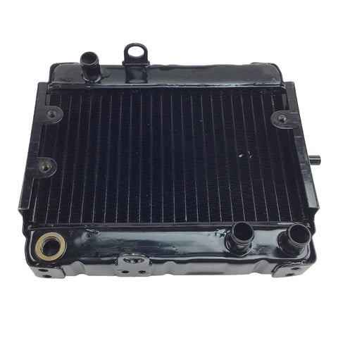Radiator for 250cc Scooter