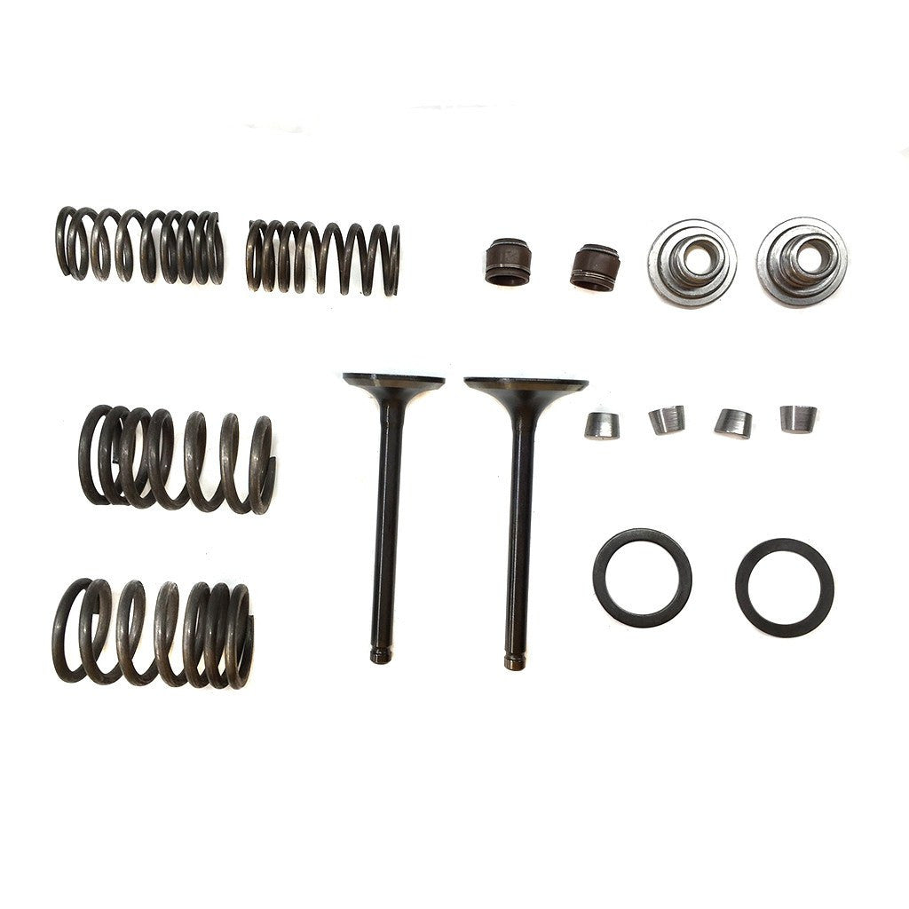 Valve Set With Springs and Clips for 125cc ATV Engines - Version 3 - VMC Chinese Parts