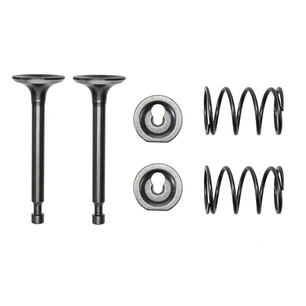 Valve Set - Intake and Exhaust - 196cc 6.5hp Coleman Powersports - VMC Chinese Parts