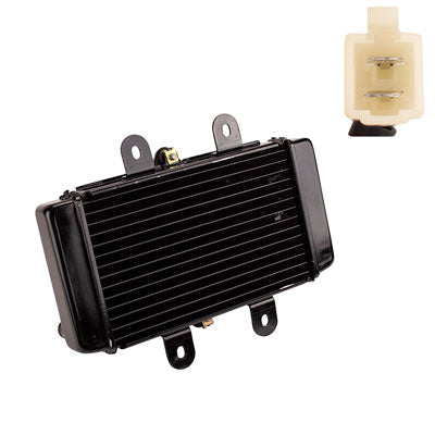 Radiator for Scooter YYZX25025006 250cc Jonway YY250T - VMC Chinese Parts