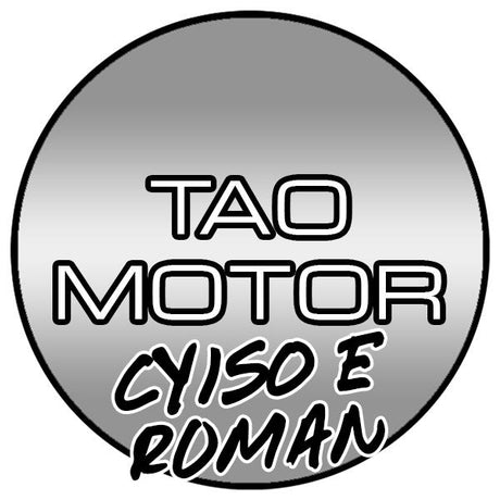 Tao Tao CY150E Roman Scooter Parts