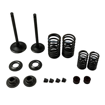 Engine Valve Set With Springs & Clips for CF250 CH250 CN250 Engines ...