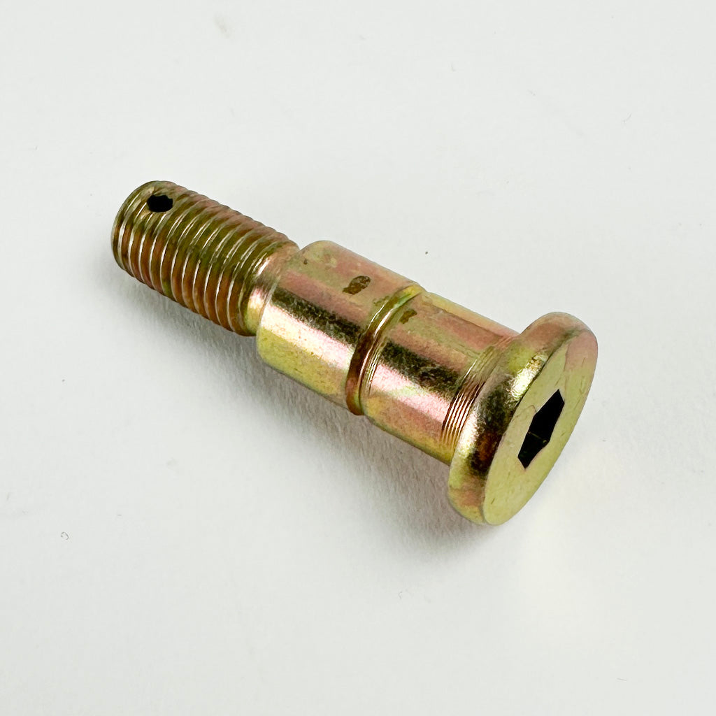 Brake Lever Bolt - 10mm*1.25*39 Internal Hex Step Bolt - Apollo DB36 Dirt Bike