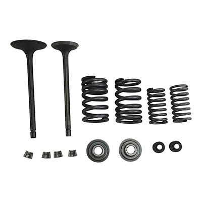 Valve Set With Springs & Clips - CG250 Engines - Version 8 - VMC Chinese Parts