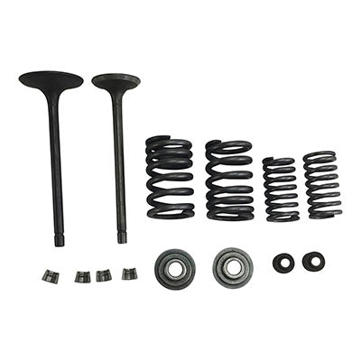 Valve Set With Springs & Clips - CG250 Engines - Version 8