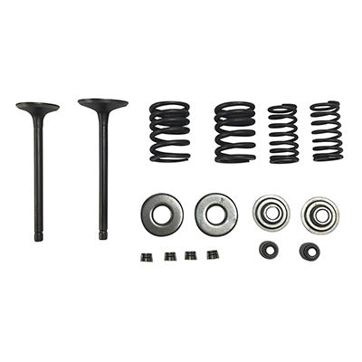 Valve Set - Linhai Yamaha 250cc 260cc 300cc Engines – VMC Chinese