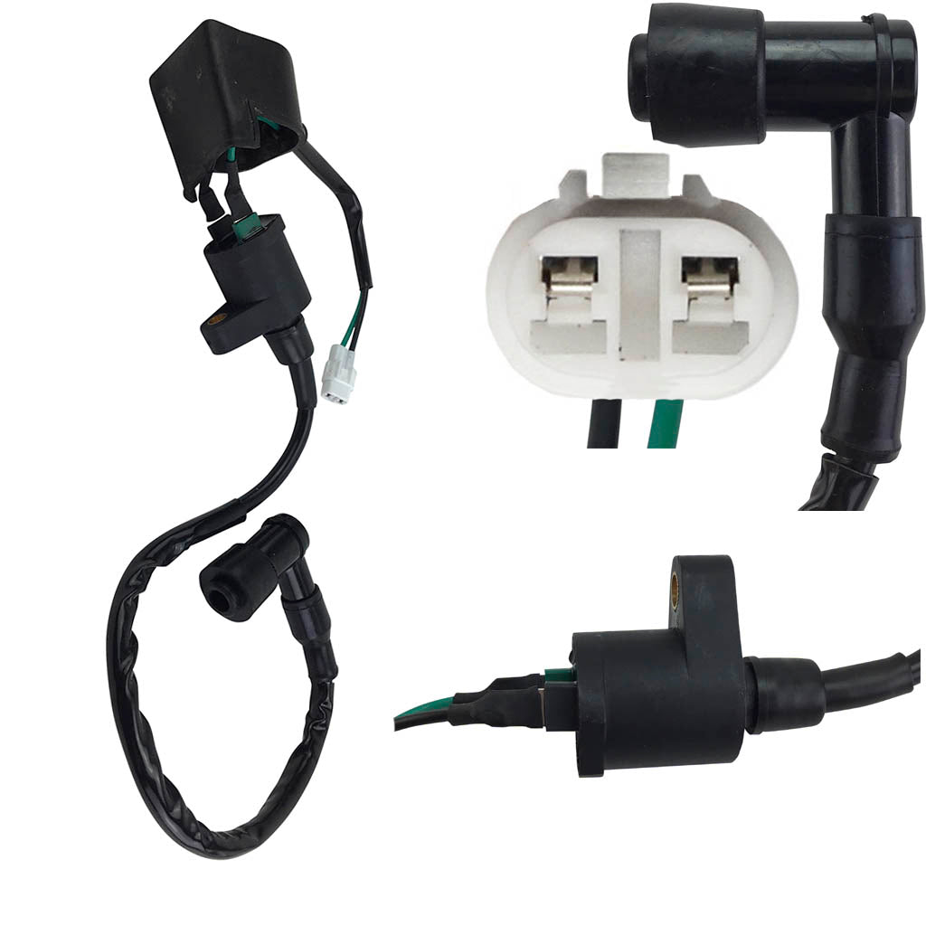 ビカクシダWillinckii copperwill wideform（oc） P.Willinckii cv.Yellow Moon Dwarf(OC) From TK 亞成正側芽