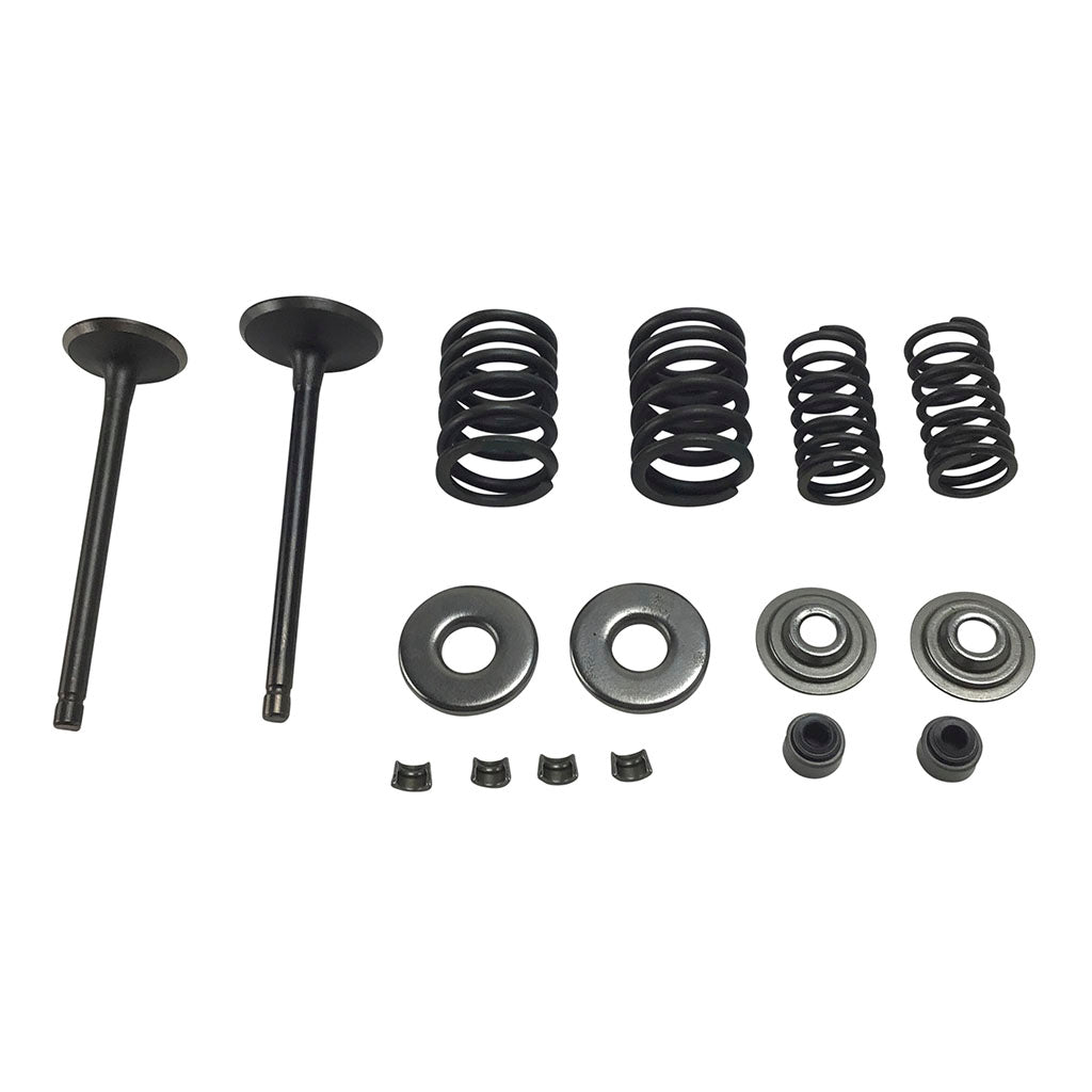 バイクパーツ一式　まとめ売り YAMAHA TWINCAM4-VALVES他 Valve Set - Linhai Yamaha 250cc 260cc 300cc Engines – VMC Chinese