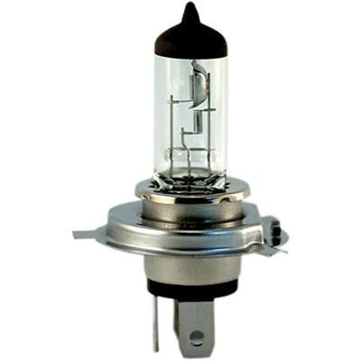 H4 55w Halogen Headlight Bulb - 60/55w - [01009] EIKO