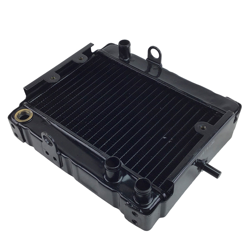 Lc250 Radiator Radiator for 250cc Scooter – VMC Chinese Parts
