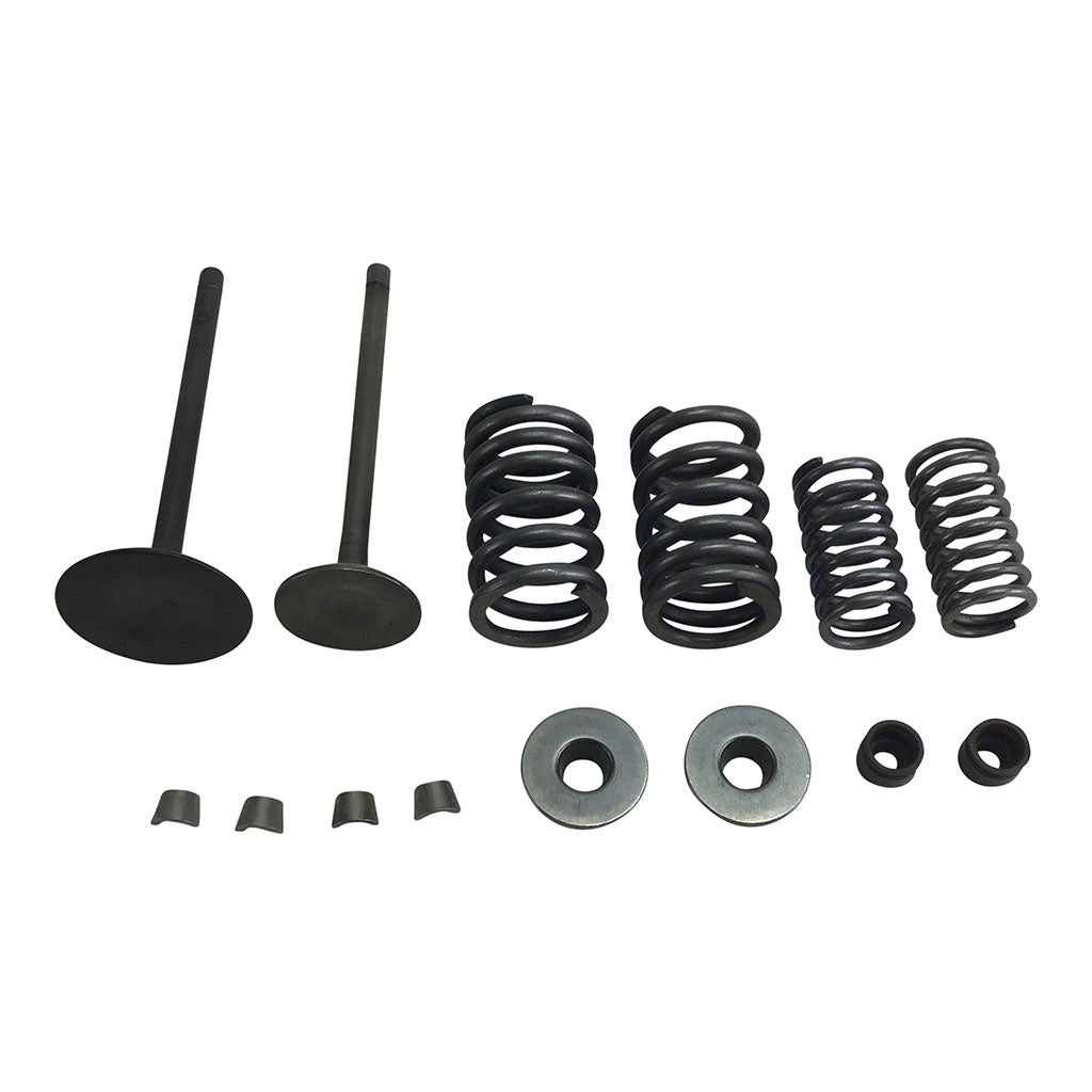 Valve Set With Springs & Clips - CG250 Engines - Version 8