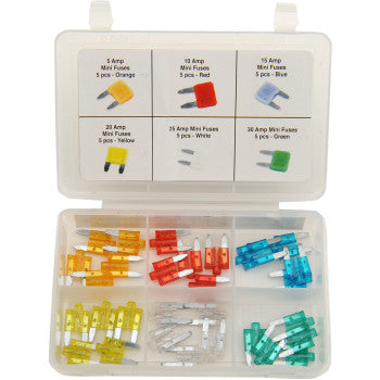 Fuse Assortment Mini LED 30-Pieces [2402-0141] - VMC Chinese Parts