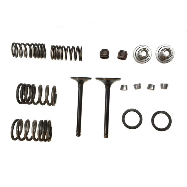 Valve Set With Springs & Clips for 125cc ATV Engines - Version 3 - VMC Chinese Parts