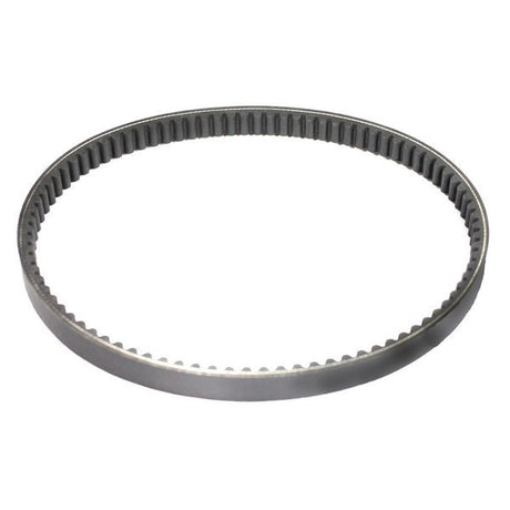Belt - 22.5mm x 868mm Chinese - (868-22.5-30) - VMC Chinese Parts