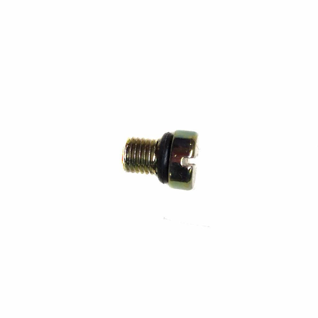 Carburetor Drain Screw Version 1 - PZ16 Carburetors - VMC Chinese Parts