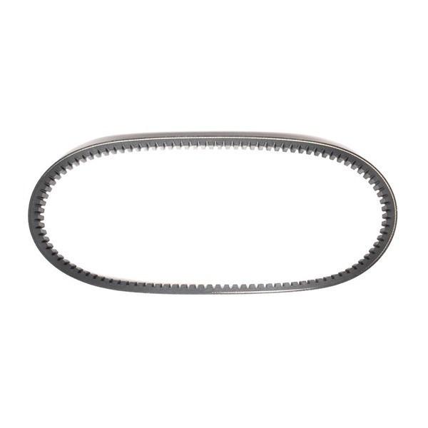 203589 Torque Converter Belt - Asymmetric 3/4 Inch Wide - Coleman KT196 Go-Kart Drive Belt