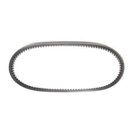 203597 Torque Converter Belt - Asymmetric 3/4 Inch Wide - VMC Chinese Parts