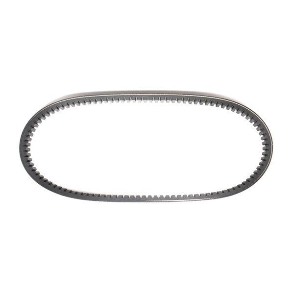 203590 Torque Converter Belt - Asymmetric 3/4 Inch Wide